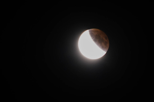 Super Blood Moon Eclipse! [x]