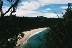 twintravels: New Chums Beach New Zealand