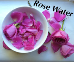 t0chtli:  happyvibes-healthylives:   Homemade Rose Water not only does rose water smell amazing, it is also great to use in your beauty routine. it is a hydrating &amp; effective face toner and makes skin dewy &amp; soft. it has a pretty expensive price