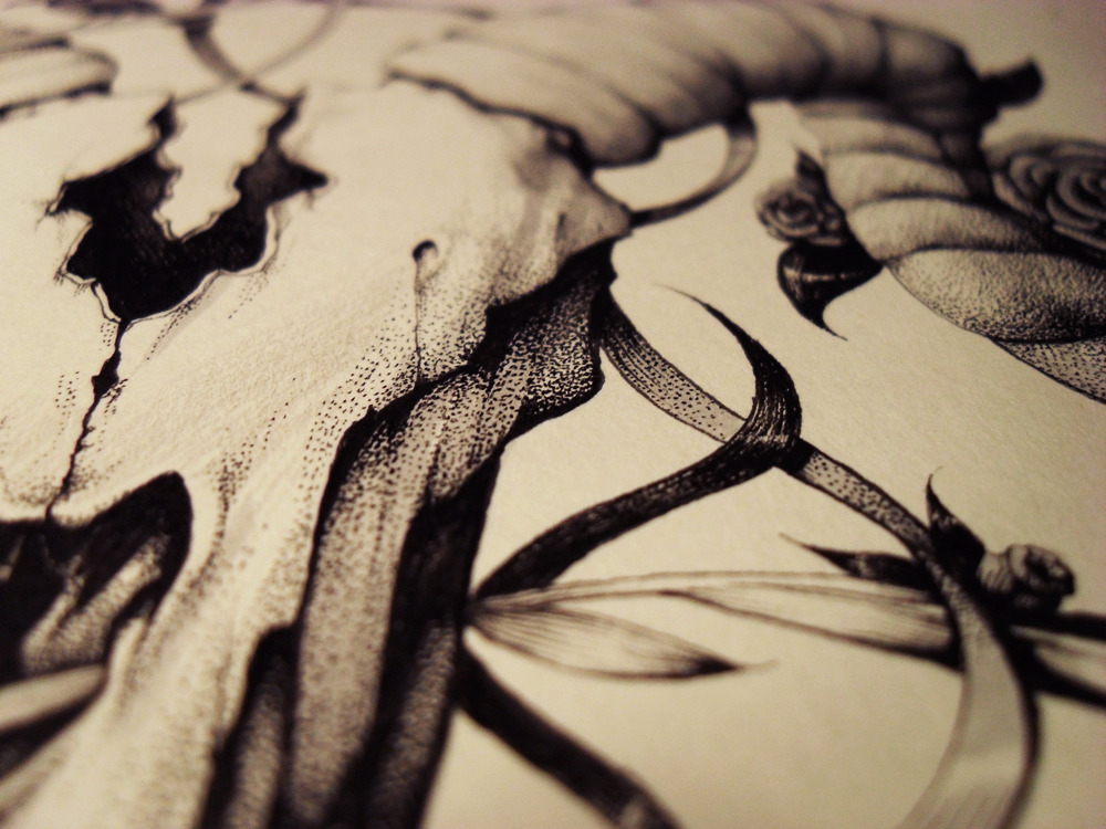 marijatiurina:  A drawing of the skull that took a while. It’s only A4 but using