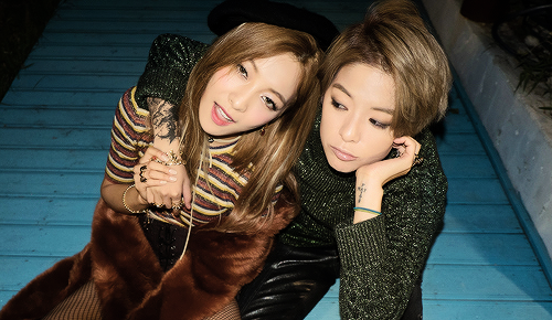 functiongirls-:Lunber for the october issue of The Star