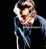 blamestyles:  Harry Styles 'Hair Porn' - South America (WWA Tour) 