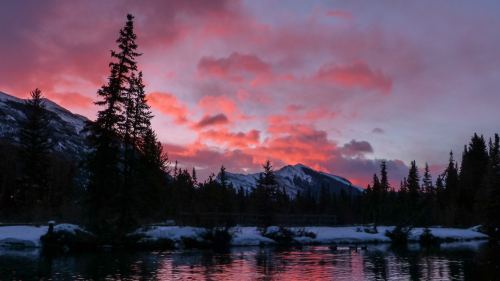 perfectpurples - Photo by Kym MacKinnon 