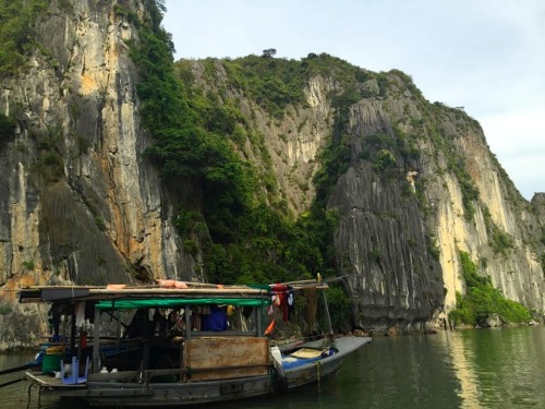quynhtravels:  Your paper money is not useful here