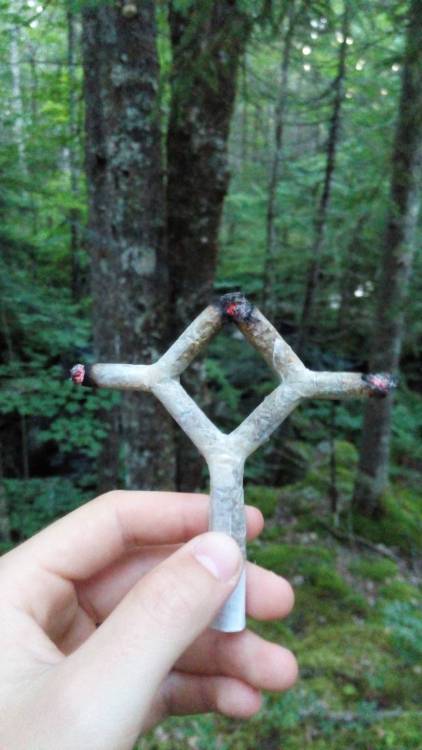 Porn photo reddlr-trees:  The diamond cross joint in