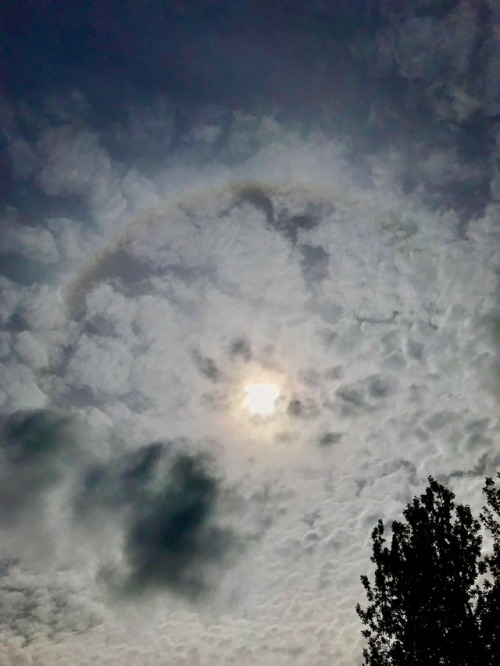 Secretive rainbows hiding in the clouds and around the sun, found if u sneaky know where to look.