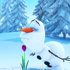 ddlgblog:is this frozen 2?