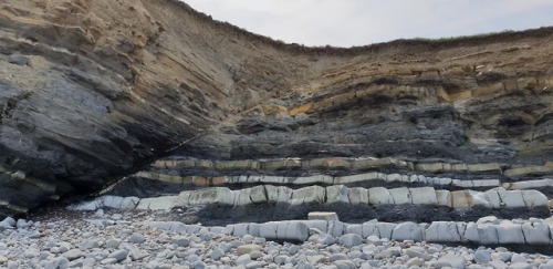 geologicaltravels:2018: Folding and faulting in the early Jurassic Blue Lias Formation, near Kilve, 