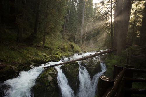 lobo-de-luna:Sol Duc Falls