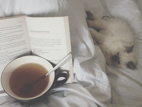 girlinawhimsicalland:Kittens + books = loveSnuggled with my own kitty, a new book, and a hot cup of 