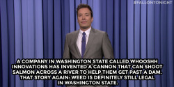 fallontonight:  - Jimmy Fallon’s Monologue;