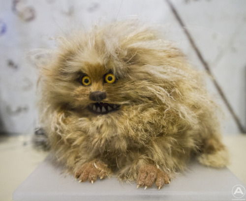 grislywitchpits: themuppetmasterencyclopedia: Fizzgig (Best Quality Version) Best quality version