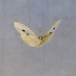loumargi:  Detail from Cupid &amp; Psyche by François Gérard