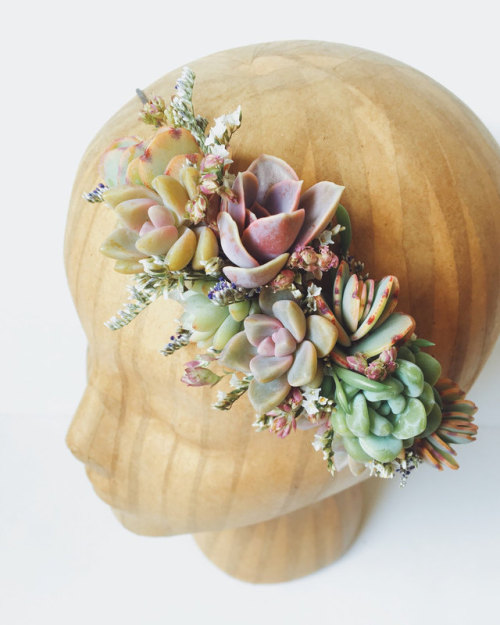 XXX sosuperawesome: Succulents Crowns, Hair Combs, photo