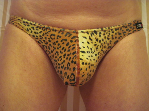 PA asymmetry.  Unfortunately, the bigger the jewelry, the less comfortable the briefs.  Rings and Cocksox just don’t work that well together.