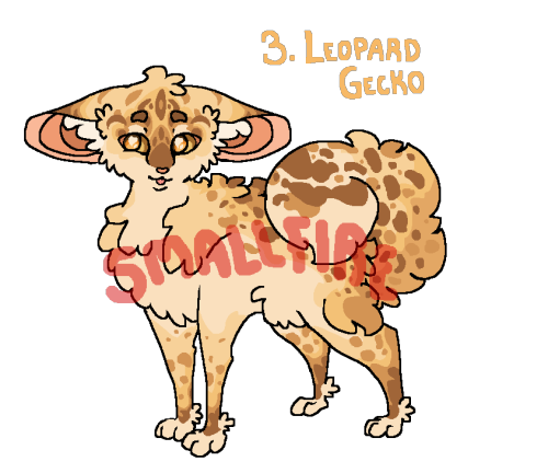 CORN SNAKE: $15 USD - SOLD!BEARDED DRAGON: $15 USD - SOLD!LEOPARD GECKO: $15 USD - OPENSALAMANDER: $