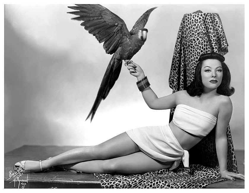 Yvette Dare Vintage 50’s-era promo photo featuring Ms. Dare and her Macaw: “Lippy”..