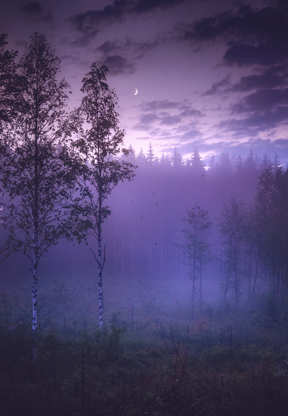 milamai:Breathing Purple (by Milamai) - Tumblr Pics