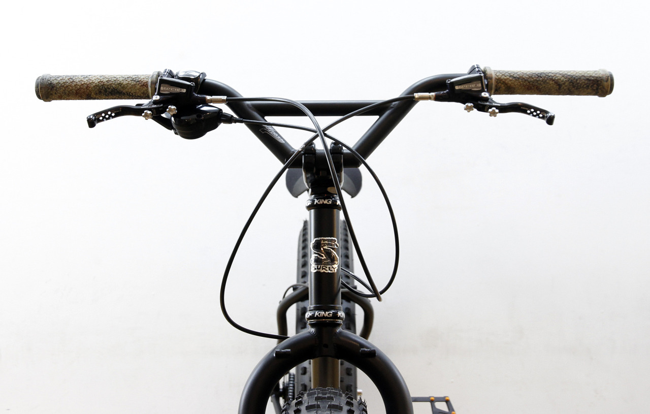 Perfect handlebar (let me know if you know the brand and model : )