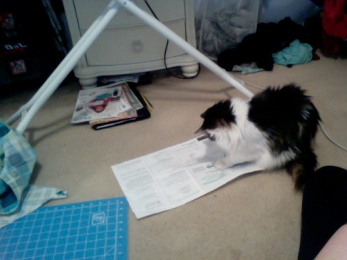 getoutoftherecat:  stop eating the instructions cat. how am i supposed to finish my project if you eat it? 