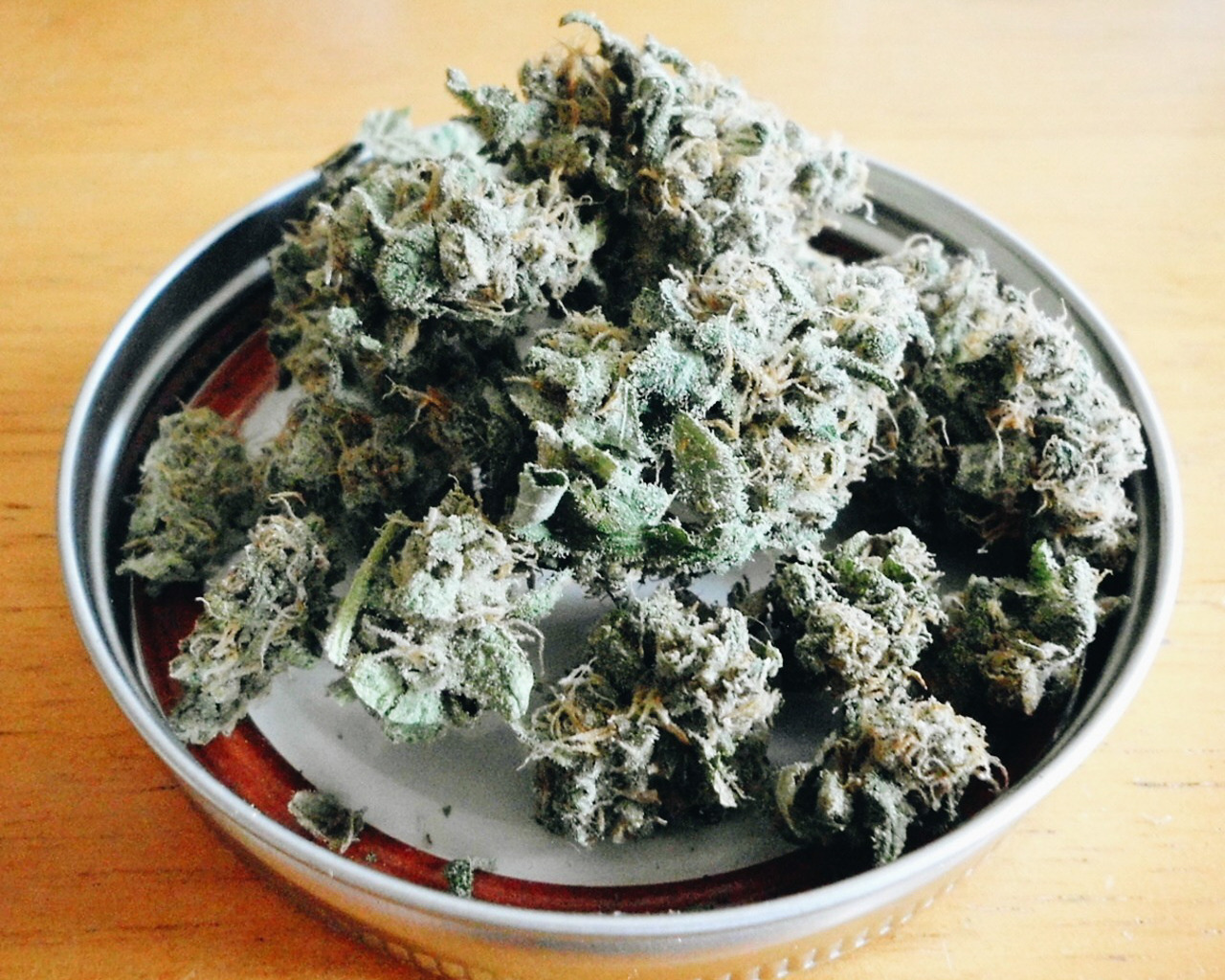 kushupmagazine:  🌴 weed 😋