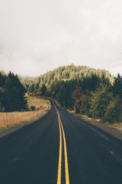 souhailbog: Fall Roads | ©   Nick Carnera