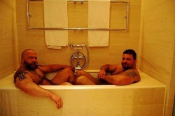 mutantbearman:  Two Bears in a Tub