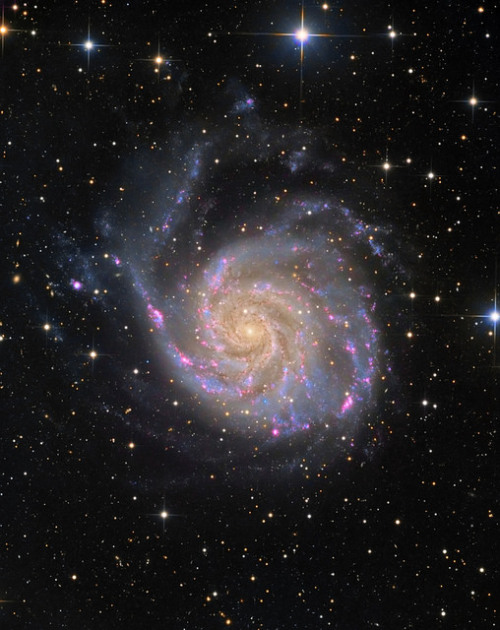 spacettf: M101: The Pinwheel Galaxy and supernova SN 2011fe (processed 2015) by Oleg Bryzgalov on Fl