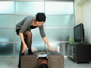 bestscatdotcom:  I am being lead into my Mistress special toilet room for when she
