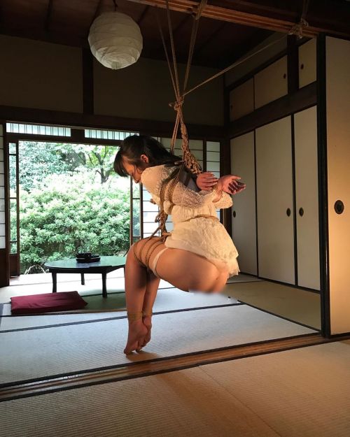 mai8chan:   Kinbaku &amp; Photo Naka Akira  Model     Kuroi Roku