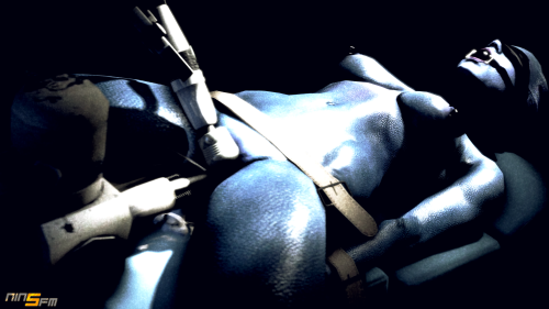 ninssfm: Started messing about in SFM with one idea, and it evolved into this. There is some minimal clipping I know, but there wasn’t much if anything I could do about that. And animaaaaaated… -ish. CLICK HERE! 