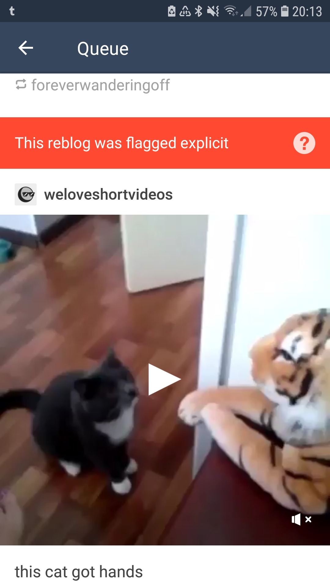 This is explicit Tumblr????????? ITS A CAT HITTING A PLUSH TIGER 