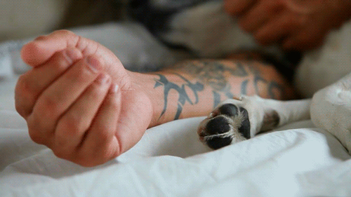 KENNETH GUIDROZ Man&rsquo;s Best Friend&hellip;