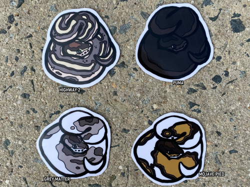 https://www.etsy.com/shop/ToadshadeTerrariumShop update! Added a ton of ball python vinyl stickers t