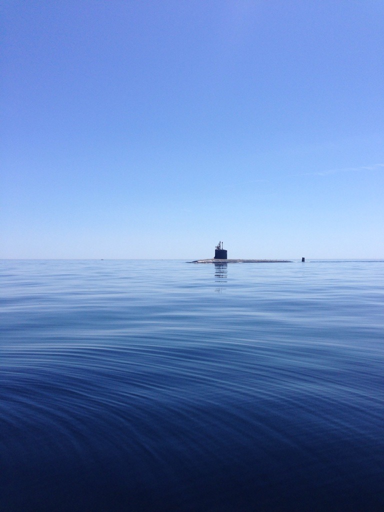 blazepress:  Casual day fishing when all of a sudden….