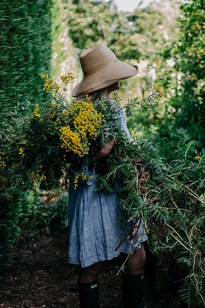floralls:    Glenmore House Feb2016 by   Luisa Brimble  