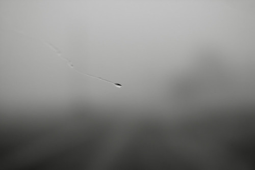 bluelunaphotography:free