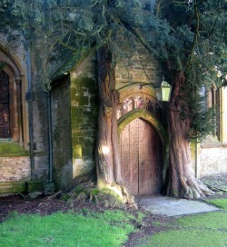 fuckitandmovetobritain:  Stow-On-The-Wold,