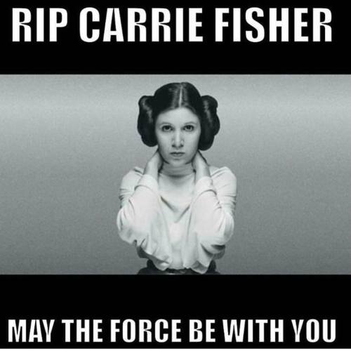 lambbabies:#carriefisher