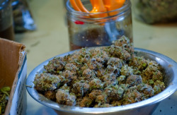 lets-get-blazednow:  Bowl o ganj