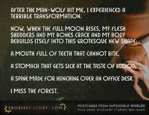 shorteststory:AFTER THE MAN-WOLF BIT ME // a short story about man-wolf bites and terrible transform