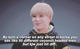 980219 HAPPY BIRTHDAY JUNGWOO! Jungwoo According To Tumblr Tags