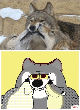 Tumblr media