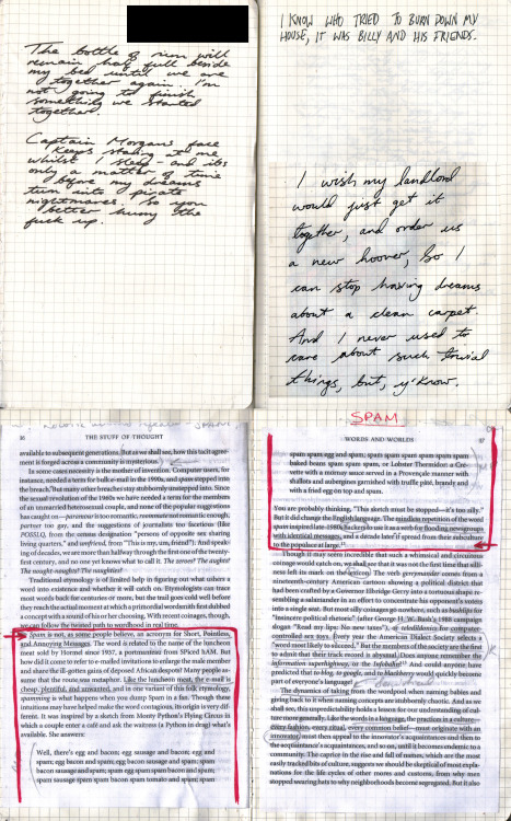 gsofa: journal scans  Tess Mackenzie, Communication Design student