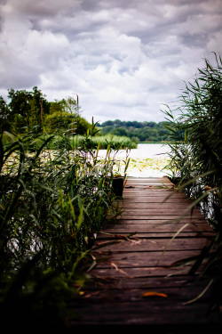 expressions-of-nature:  The lake / Denmark by: Henrik Hansen