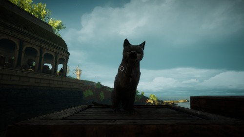 Cats of Eastshade pt. 1