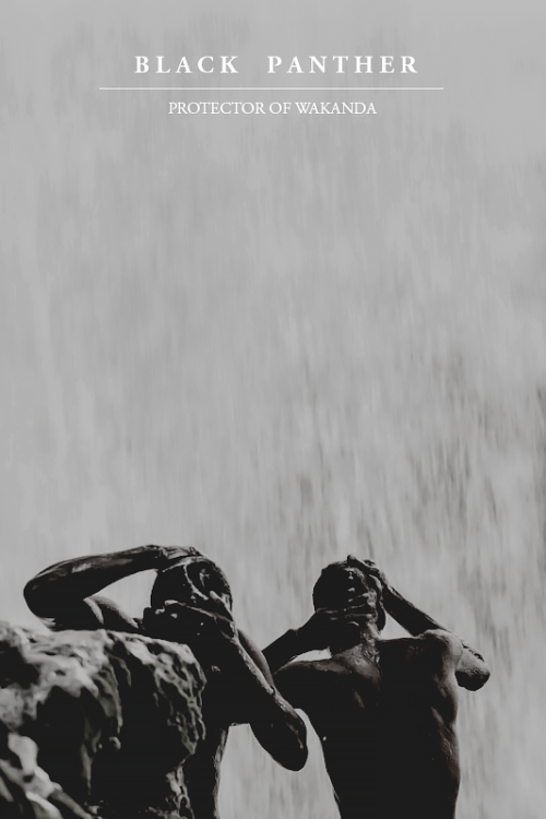 blackpanthcr:  BLACK PANTHER AESTHETIC 2 / ?  the black panther has been the protector of wakan