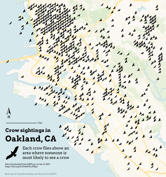 Areas where crows are more likely to be reported than other birds. This is visualized with images of crows flying over a light colored basemap of Oakland, Alameda, and Berkeley. There is a high density of crows in North Oakland and Berkeley