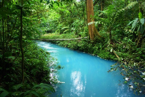 wildfireworld:  Wonderful Rio Celeste ♥ Rio Celeste, Costa Rica