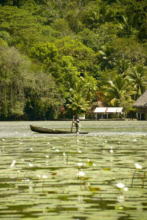 visitheworld:   Rio Dulce / Guatemala (by UltraPanavision).